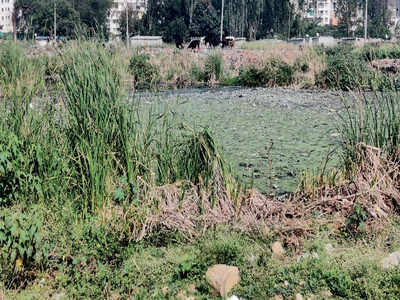 E-City lake shrinks as concrete jungle expands