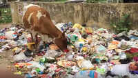 Tamil Nadu: Avadi lacks basic civic amenities and infrastructure 