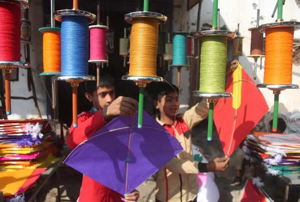 HC sets May 5 deadline for compensation to 11 nylon manja victims