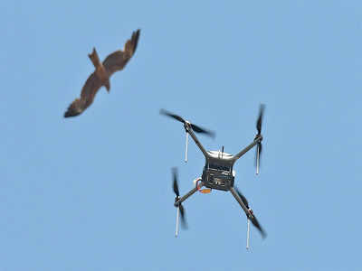 Adani firm flies high in tackling rogue drones