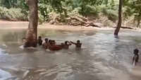 Tragic: People carry pregnant woman with help of rope across river to hospital 