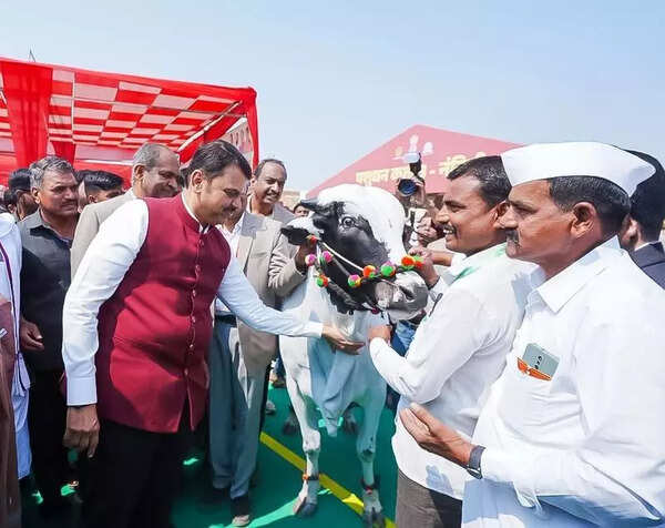 Agriculture sector safe, Indo-US trade deal propoganda is false: Fadnavis