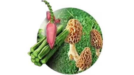 February 15, 2026: Stirring kindness into climate with vegetarianism