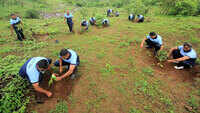 Pune: 1,200 saplings planted in mega plantation drive 