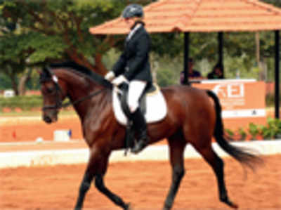Red-faced EFI stumbles over equestrian rules