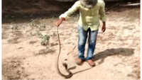 6-feet-long cobra rescued from septic tank in Coimbatore 