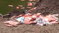 300 ATM cards found near drain in Rajasthan's Baran 