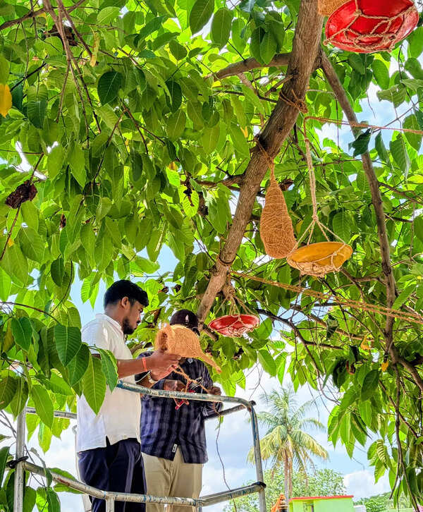 Bhubaneswar civic body installs 150 artificial nests for birds amidst summer heat