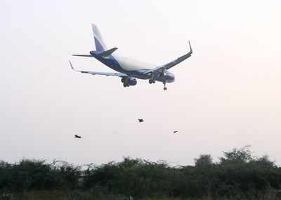 GoAir to launch Mumbai-Kannur flights from January 10
