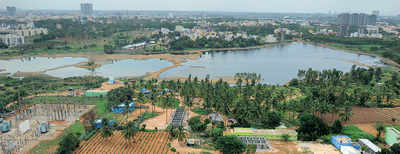 Sadaramangala lake finds itself
