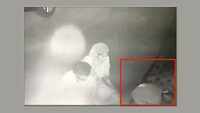 Ludhiana: Mayor announces Rs 5,000 reward for catching 'manhole lids' thieves 
