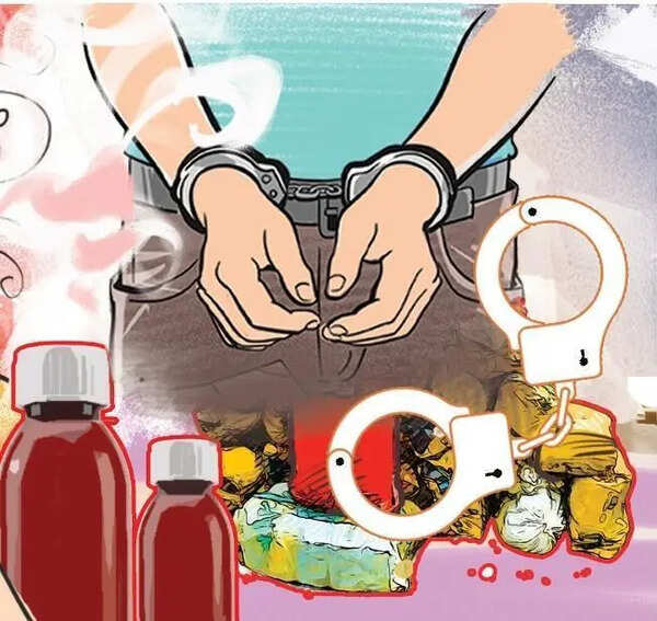 Fatal drug overdose case: Ecstasy pills ordered from Europe, payment made in USDT, police tell Mumbai court