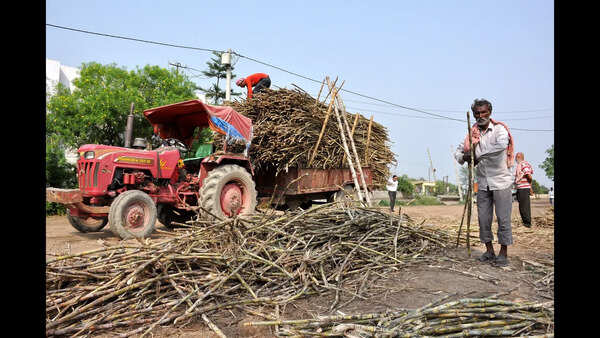 Erratic weather ravages crops, fruit trade