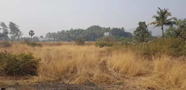 Land acquisition survey for Ankali-Chokak stretch of highway completed