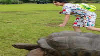 Adah Sharma and her The Tortoise and The Hare story 
