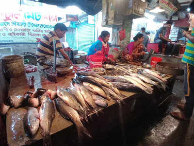 Pandemic spikes business,  price of fish in Bengal
