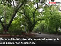 On World Environment Day have a look at lush green campus of BHU 