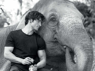 Vidyut Jammwal turns elephant whisperer for Junglee