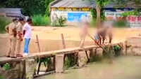 Shocker from UP Police: Minors used to pull out decomposed body from a canal 