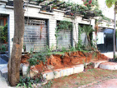 Never promised you a rose garden, says BBMP