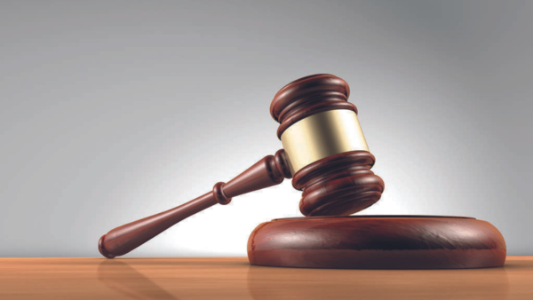 Vadodara: Insurance company fails to make head or tail of cow’s colour, loses case