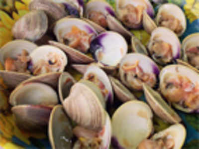 Climate change threat to world’s mussel population