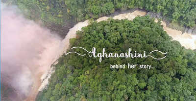 Aghanashini: A unique river