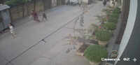 Ox tramples mother, her 2 daughters, chases them in Faridabad, CCTV captures attack