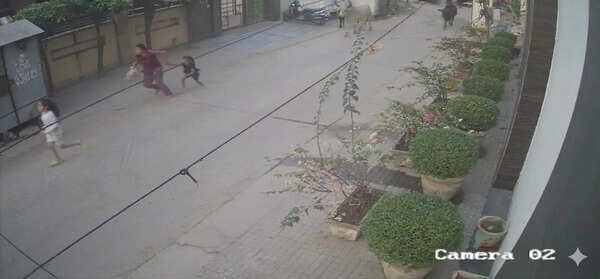 Ox tramples mother, her 2 daughters, chases them in Faridabad, CCTV captures attack