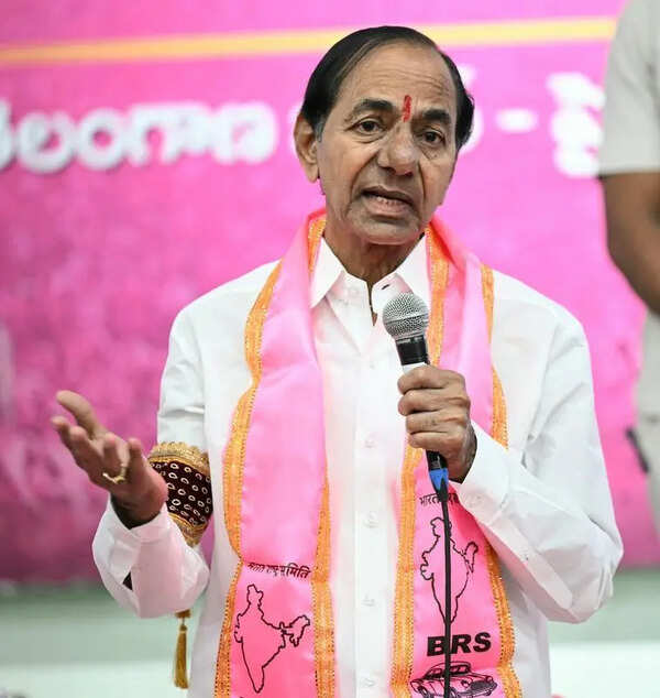 Women must rise & create their own path, says KCR