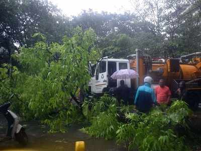 Maharashtra: 14 died, 18 injured due to cyclone Tauktae; 3772 structures damaged