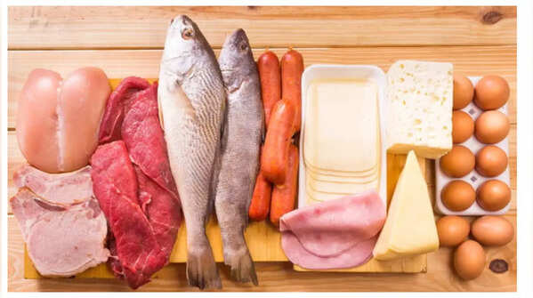 Animal protein