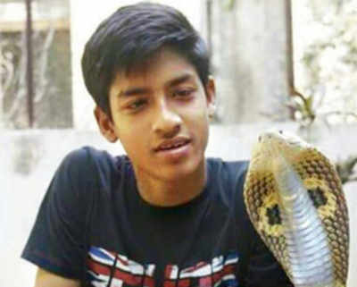 Teen dies after being bitten by rescued cobra