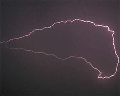 41 killed due to lightning in a fortnight in the state, 19 in Marathwada alone
