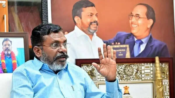 As TVK's Vijay waited for magic number, kingmaker Thirumavalavan ‘almost became king’