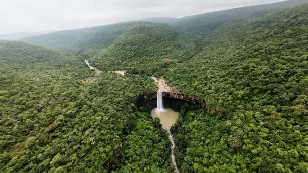 And then the jungle sprang to life: Four attacks, 550 arrests & 2,500 acres of forest reclaimed in Chhattisgarh tiger reserve