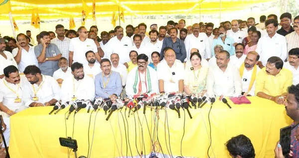 Nellore dist to host over 7 lakh TDP workers at Mahanadu