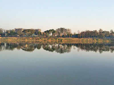 Story behind the photo: Bengaluru, reflected