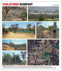 Land levelled, trees felled, road to new buildings laid at Damdama basin in Aravalis