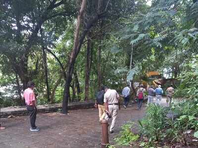 BJP legislator revives plan to widen Siri Road; Malabar Hill residents to protest to save trees