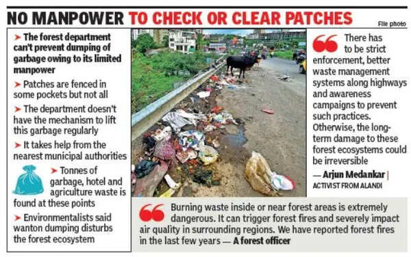 Forest patches turn dumping grounds, raise eco & fire concerns