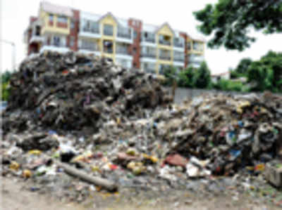 Growing garbage mound unnerves Domlur residents