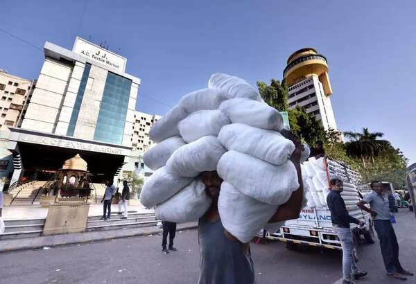 Budget gives hope to textile sector of South Gujarat