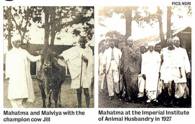 Mahatma’s enduring connection with Bengaluru