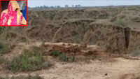 UP: Pregnant woman out to relieve herself in a field gives birth, wild animal takes away newborn 