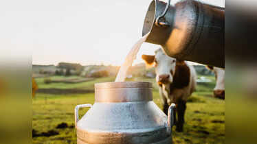 Difference between homogenized and pasteurized milk and which one ...