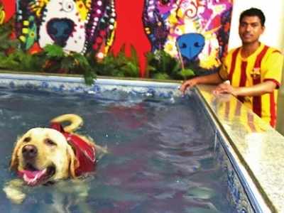 How to help your dog stay fit in Mumbai