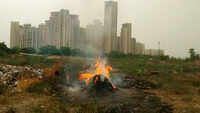 Despite NGT ban, garbage dump set on fire in Greater Noida 