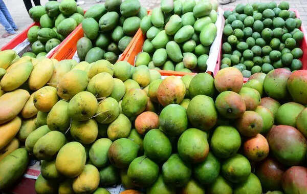 Weather hits Raichur mango crop; output down 50%