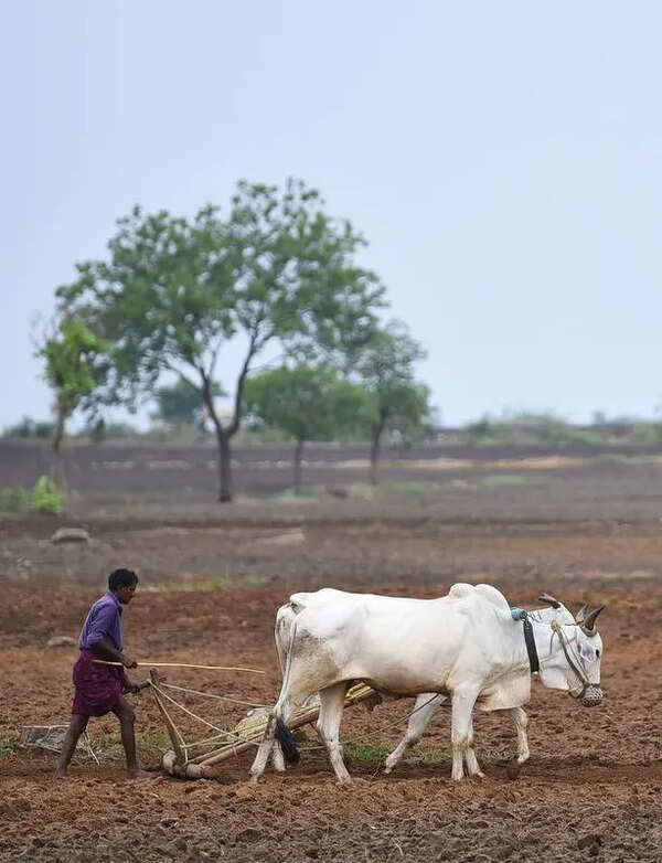AP govt unveils Pashu Kisan Credit Card scheme to boost livestock farming